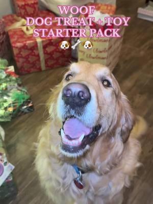 Your dog NEEDS this! 🐶 @Woof Pet #dog #goldenretriever #doglife #dogtoy #woofpupsicle #dogtreat #dogmom #foryou 