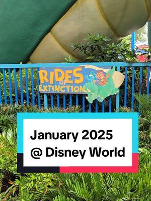 ALL my other socials will keep you posted on February updates so make sure we are friends there too! This update covers you for everything happening at Walt Disney World in January 2025 though...including all the changes that will impact your January trip. #disneyworld #epcotball #waltdisneyworld #festivalofthearts 