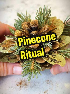 ✨Pinecone Ritual✨ Manifesting good vibes for the new year ❤️ —————- #manifestingmagic #manifestingtok #witchtok #witchtip #witchtips #witchtipsforbeginners #beginnerwitchtips #babywitchtips #witchrituals #newyearresolution 