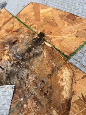 See what caused my garage roof to leak! Not how I wanted to spend a Friday! #fyp #roof #roofing #roofrepair #DIY #shingles 