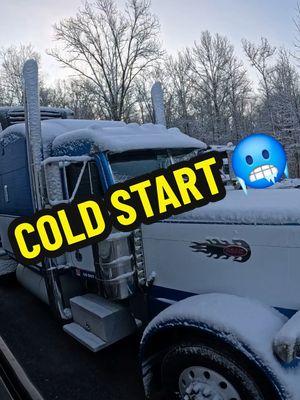 #peterbilt #peterbilt379 #peterbilt389 #coldstart #fyp #foryoupage #trucking #truckdriver #trucktok #truckin #truckertok #truckernation #truckersoftiktok 