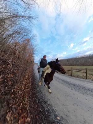 Little different view #fyp #racking #horse #ewhtrailhorses 