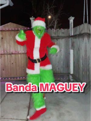 Respuesta a @luis.morales391 Saludos ✌️🎄 @Banda Maguey Oficial #thegrinch #quebradita #banda #baile 