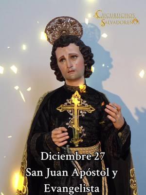 #jesusteama❤ #virgenmaria💛 #feliznavidad #jesuseucaristia #iglesiacatolica✝️ #jesuslovesyou #santodeldía #sanjudastadeo💚 #iglesiacatolicadejesucristo #cristoteama❤️🙏🏻 #jesusteamo #sacerdotesentiktok 