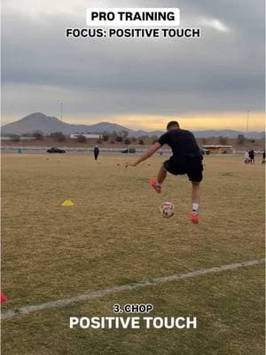 Positive Touch Training with Pro Player ⚽️ #Soccer #soccertraining #championsleague #bundesliga #soccerskills #wingback 