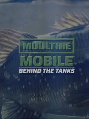 HEY 👋 Take a dive 🤿 into some of our favorite moments with Stray Casts hosting Behind the Tanks presented by @moultrieproducts!  #bass #bassmaster #moultrie #moultriemoblie #camera #BassElite