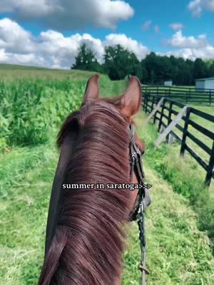 excited to be back here with nitro😇 #nitrojp #horse #eq #warmblood #kwpn #dutchwarmblood #equestrian #horseaesthetic #horsesounds #horsegirl #horseaudio #lipsyncsounds #horsesoftiktok #chestnuthorse #lovehorses #flatwork #dressage #hunterhorse #jumperhorse #hunterjumper #horsetraining #babyhorse #horselove #horsebestfriend  #showjumpers #warmbloodjumper #equestrianaudios #horsegirlsounds #equestriansounds #editsounds #babyhorsetraining #equestrianrelatable #equestrianreposts #horsereposts #universityofsouthcarolina #collegeequestrian 