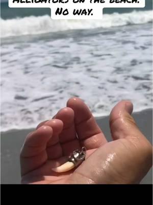 Alligators on the beach are a thing #beach #detecting #minelab #crazy #sand #scoop #coob #digs