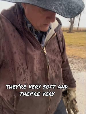 #midwest #rain #workingoutside #farmwork #rurallife #winterweather #butchfashion #olderbutch #goodpants #cargopants @Duluth Trading Company Thank you @my_yolo_now #winterwork 