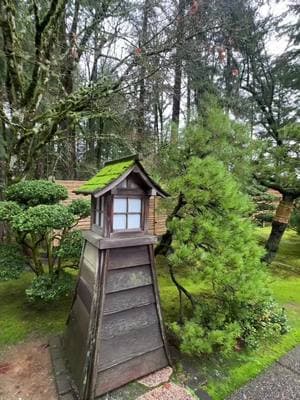 Japanese rose garden in portland 😍😍 #portlandtravel#thingstodoinportland#fyp 