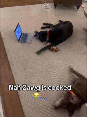 Zawg is cooked bruh 😭🙏🏽 #ninja #lowtaperfade #funny #zawg #cooked #brainrot #fyp 