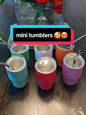 #paratii #fyp #tiktokmademebuyit #vasitos   #tumblersoftiktok #vasos  #tumbler #cute #mini #minitumbler 