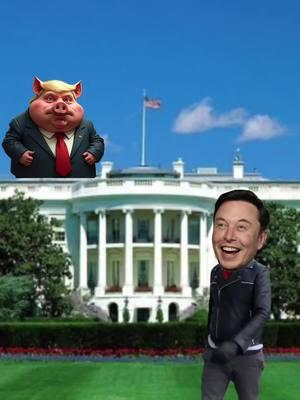 #ElonMusk is ready for the #WhiteHouse  #DonaldTrump! #littlepig (this could result in jail time under the #maga Agenda! 🤣