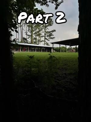 Here is the woods I’m talking about that you can see the kennels perfectly but nothing in front of the hanger. And the state of South Carolina got this one so wrong they don’t even know how to get out of it. #alexmudaugh #murdaugh #alexmurdaughtrial #crimeandcask #ccnewsnetwork #sclowcountry 