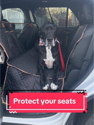 @LekeSky-US #dogcarseat #dogcarseatcover #dogsoftiktok #greatdanesoftiktok #carseat #petcarseat #newyearnewaura #tiktokshopfinds #spotlight 