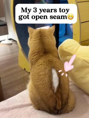 Help! My 3 year old toy got open seam, looking for skilled sewer 🤣🤣🤣😂😂🤩🤩 www.kzlaa.com, all cats  staff, cat trees, cat house, cat bed, cat toys, etc. 🌏🔗shipping worldwide#kzlaa #cats_of_world #catlover #cats #foryou #catsofinstagram #catbed #cathouse #catbaby #furbaby #furball #ferret 