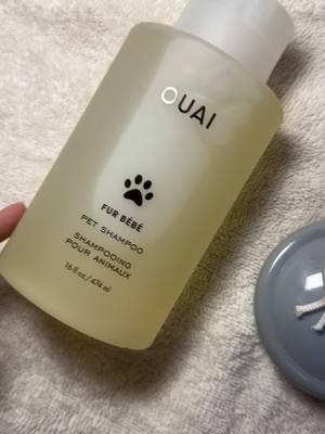 he smells amazing 😍 Shop Ouai Pet Shampoo 🐶 #ouai #dogsoftiktok #doglifestyle #opie #fresh #dogsoftiktok 