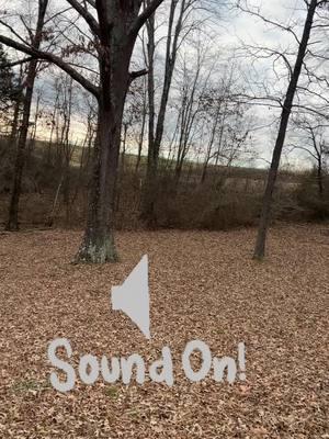 When the only noise in your day is the hum of the neighbor’s tractor 🚜✨ Life in rural Tennessee hits different. #CountryLife #PeacefulVibes #RuralTennessee” this property is for sale 