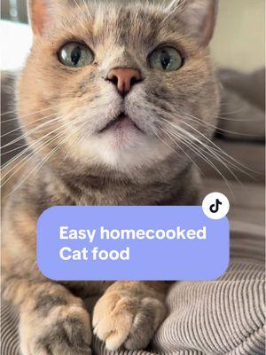 #homecookedcatfood #catfoodrecipe #catfood #catnutrition #whatmycateats #catnutrition #ezcomplete 