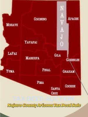 Navajo County, Arizona Tax Deed Sale Tax deed - Bidding to own the property  #TTSM #thetaxsalemaster #taxsaleinvesting #arizonaproperty #taxdeedsale #arizonainvestmentproperty #realestate #taxsales #taxdeeds #navajocountyAZ Get your Introduction into the Tax Sales Business for Free - register at TAXSALESCLASS.COM Tax Deeds, Liens, and Redeemable Deeds with The Tax Sales Master Saturdays at 1:00 PM PT on ZOOM