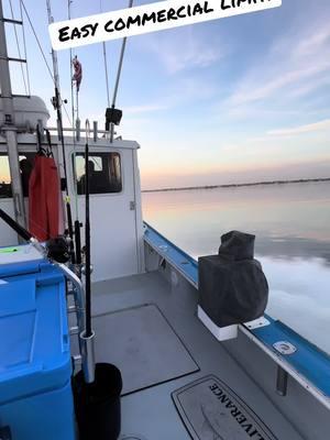 Easy commercial Sea Bass limit,   Another awesome day with great friends!#tunafishing #contenderboats #bluefintuna #fvmissolivia #grundens #BHM #hudsoncanyon #yellowfintuna #Northeast #humpbackwhales #fyp 