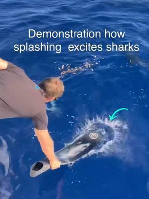 Never splash around sharks. We want to avoid any accidental bites or encounters 🙏🏽 We can coexist with more knowledge on biology and behavior of these beautiful apex predators.  You can learn more about sharks and safety in the water with them in @Ocean Ramsey Sharks book “What You Should Know About Sharks” available at oneoceanhawaii.com 🦈 ##sharks##sharkdiving##education##respect##sharktours##hawaii##a