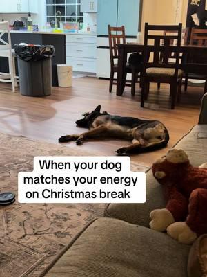 I feel that #christmasbreak #schoolvacation #overstimulatedmom 