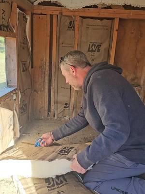 working on the chickens coop #thedogodaddy #dogo #dogoargentino #pitbull #pitbull 