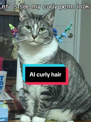 Stunning #aifilter #trendingfilter #catsoftiktok #flowercrown 