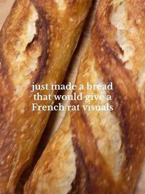 Pls tell me y’all understand the reference 😭🥖🐀 #ratatouille #baguette #boulanger 