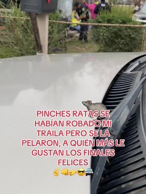 #ratas🐁 #teamwork #livetips #livetipsandtricks #LIVEIncentiveProgram #PaidPartnership #paratiiiiiiiiiiiiiiiiiiiiiiiiiiiiiii 