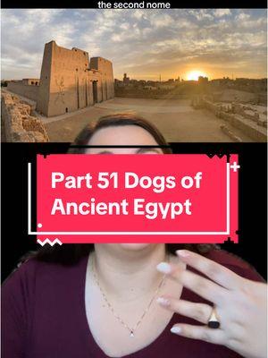 Replying to @digbito9 There are quite a few dog burials from that site, but I just wish we had more information about the excavation! #melissaindenile #fyp #fypシ #creatorsearchinsights #foryourpage #egypt #egyptian #ancientegyptians #ancientegypt #egyptology #egyptologist #egyptologylovers #dogsofancientegypt #dog #doggo #dogs #egyptiandog #egyptiandogs #ancientegyptiandogs #ancientegyptiandog #edfu 