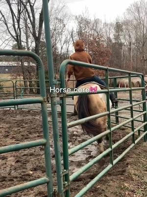 Koda literally owns the barn atp he’s so goofy😭#fyp #horsesarebetterthanpeople #horses4life #minnow #merrychristmas #jesus #fyppppppppppppppppppppppp 