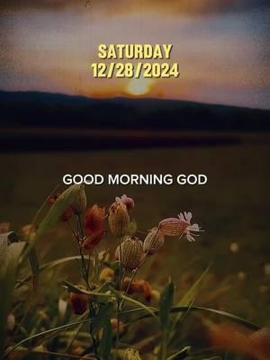 Let’s pray for the last Saturday of 2024 #prayer #prayerfortoday #saturdayprayer #morningprayer #jesus #christiantiktok 