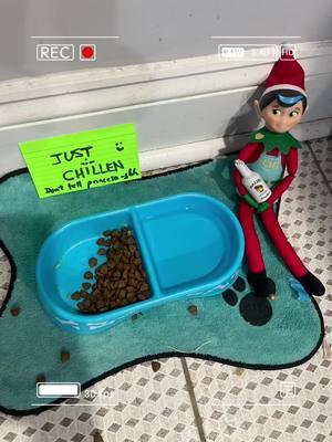 #elfontheshelf #elfideas #elf2024 #fypシ #viraltiktok 