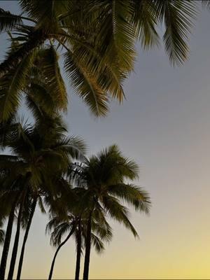 Diamond Head Hike - Oahu, Hawaii #Hiking #hawaii #oahohike #travel #hawaii #thingstodoinhawaii #hi #adventure #diamondhead #hawaiihikes 