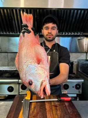 Lane snapper fish with rice 🔥🐬🐟🍚 #kebab #cookingvideo #Recipe #fish 