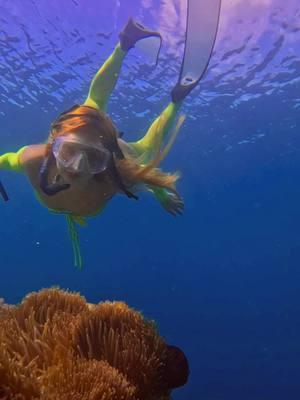 Mermaid observes colorful clownfish in their sea anemone homes🪸Wearing the @Anastasia Beverly Hills liquid lipstick 💄 in Veronica 💜 #oceanlover #underwater #anemone #mermaidtiktok #beachvibes @GoPro 