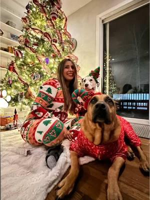 A Paw-some Christmas #CapCut #christmas2024 #furbabies #furlove #dalmatiansoftiktok #ridgebackmixoftiktok 