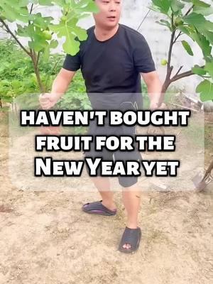 Haven't bought fruit #terragarden #viral2025 #reelsus #reels #figtrees 