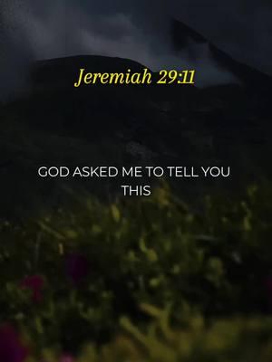 God asked me to tell you this. Jeremiah 29:11 #prayer #jeremiah2911 #bibleverse #jesus #christiantiktok 