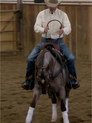 In this training clip, Clinton works on Two-Tracking Stage 1 and 2 with his cow horse Prada. Learn the steps to teach your horse how to Two-Track in the Advanced Series. Clinton covers how to teach the exercise as well as answering common rider issues and horse problems and shares success tips and troubleshooting advice to get the most out of the lesson. Learn more about the performance horse program on our website. Link in profile ⬆️ #ApplyTheMethod #downunderhorsemanship #clintonanderson #horsetrainer #horse #horsemanship #cowhorse 