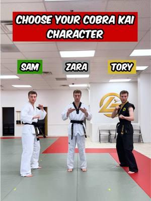 Choose Your Cobra Kai Character | Zara Malik #taekwondo #tkd #karate #martialarts #cobrakai #cobrakaiseries #zaramalik #aerial 