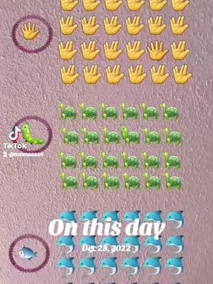 #onthisday #rosenazaire5 #rosenazaire4 #fypシ゚viral #videotiktok😇😇 #myvideos #funnyvideos 