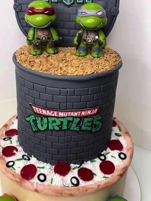 POV - You’re Killing the Cake Business 🐢 • • • #ninjaturtles #ninjaturtle #cakedecorator #nyccakeartist #nyccakedecorator #cameartist #partydecor #eventplanner #customcake #njcakedecor #rochestercakedecor 