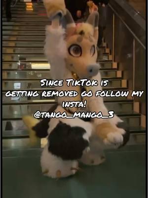 If you like my content please follow my insta as I’m most active on it! 🤗🥳✨ #furry #furryfandom #fursona #fursuitersoftiktok #fursuit #femalefursuiter #fursuiting #manokitfursuiter #manokitfursuit #manokitfursona #manokit #manokitfurry 