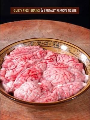 How to cook pig’s brain like a pro? #Recipe #cooking #chinesefood #pork #brain #meat #tofu 