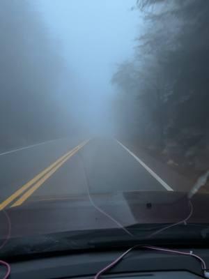 December Morning. #thewayhekissedme #easterntennessee #mountains #fyp #sandinmyboots #morganwallen #fypage #winterintennessee #2024 #tothenewyear #tennessee #EastTn #MorningViews #foggy #tennesseecheck #easterntennessee 