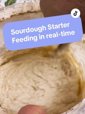 Sourdough Starter Feeding Time - No exact measurements just use my eyes and my heart and feed what feels right and this starter been thriving for over a year! 🥖 #sourdoughtipsandtricks #sourdoughforbeginners #sourdoughbaking #sourdoughstarter #sourdough #inmykitchen #sourdoughfeeding #starterfeeding #sourdoughclub #sourdoughtiktok 