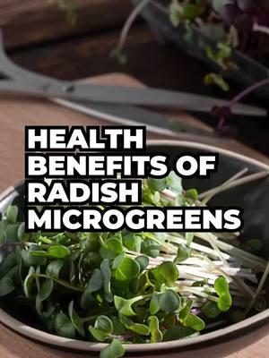 Everyone knows that broccoli—and especially broccoli microgreens—is jam-packed with nutrients, but did you know that radish microgreens can be just as nutritous, if not more so, than broccoli microgreens? 🤯 #growyourown #microgreens #kitchengarden #radish #radishmicrogreens #diet #nutrition #growyourownfood #food #health